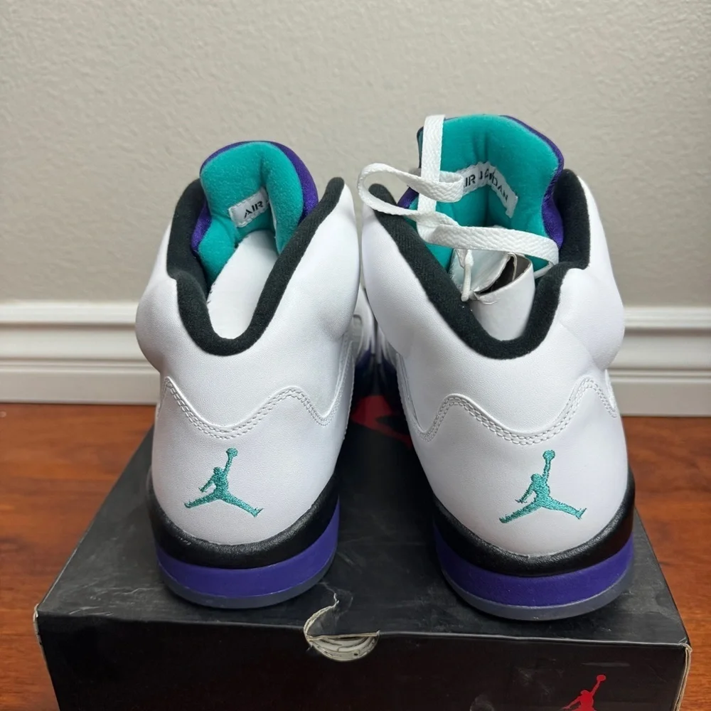 Jordan 5 Grape Retro 2013 Size 10.5
